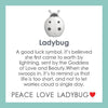 Lola Pendant Ladybug