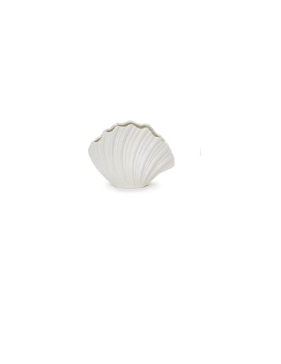 Shell Vase