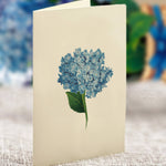 FreshCut Paper Mini Hydrangeas Pop-Up Card | 3D Card | Fabvilla