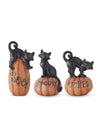 Black Cats/ Pumpkins