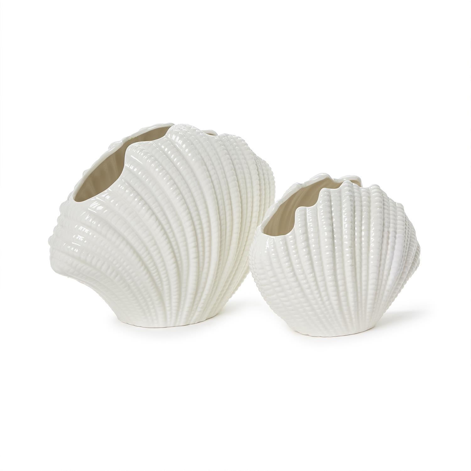 Shell Vase