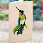 FreshCut Paper Hummingbird Oasis Pop-Up Card 3D Card Fabvilla