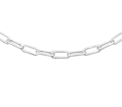 Sophisticated Silver Beauty: Get the Oval Chain Necklace at Lola Company