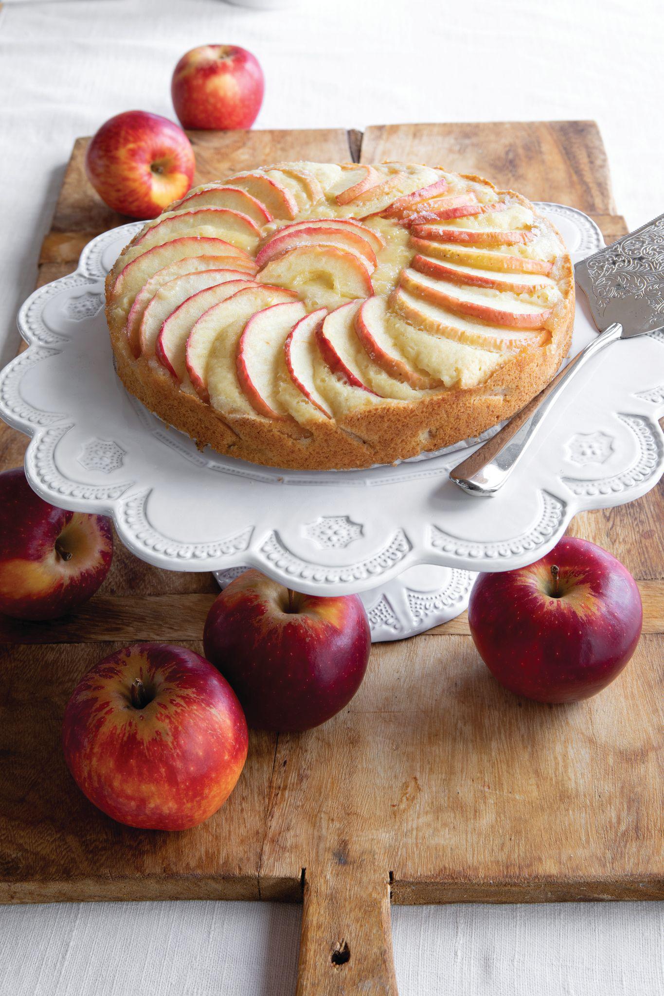 Italy on a Plate Book