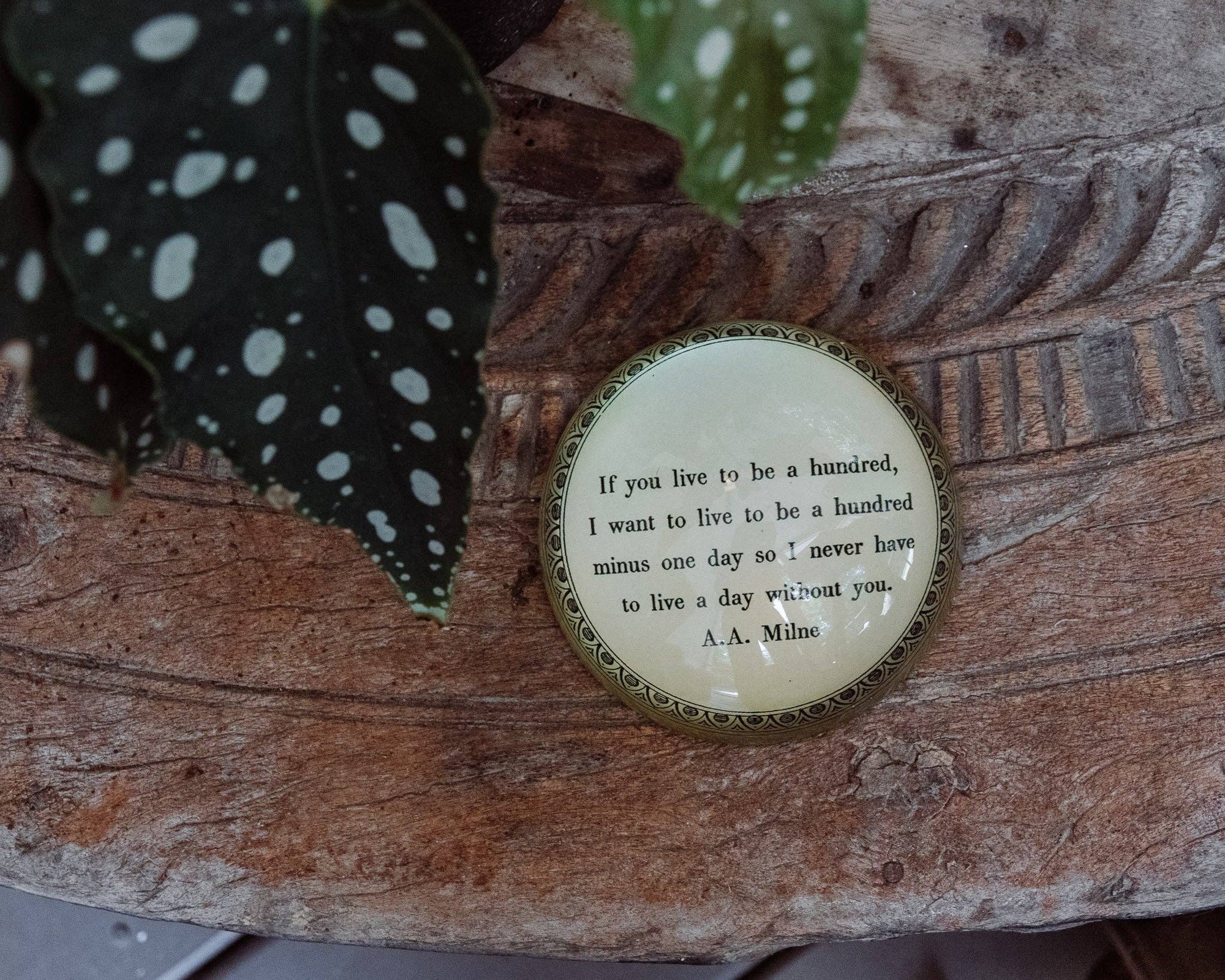 Paperweight - If You Live To Be Hundred