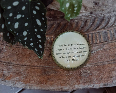 Paperweight - If You Live To Be Hundred