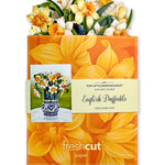 FreshCut Paper Mini Daffodils Pop-Up Card 3D Card Fabvilla