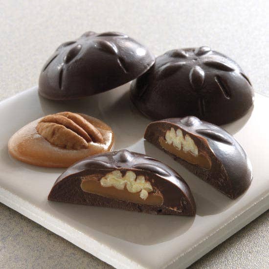 Sand Dollars Gable Box -6 pc