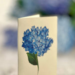 FreshCut Paper Nantucket Hydrangeas Pop-Up Card 3D Fabvilla