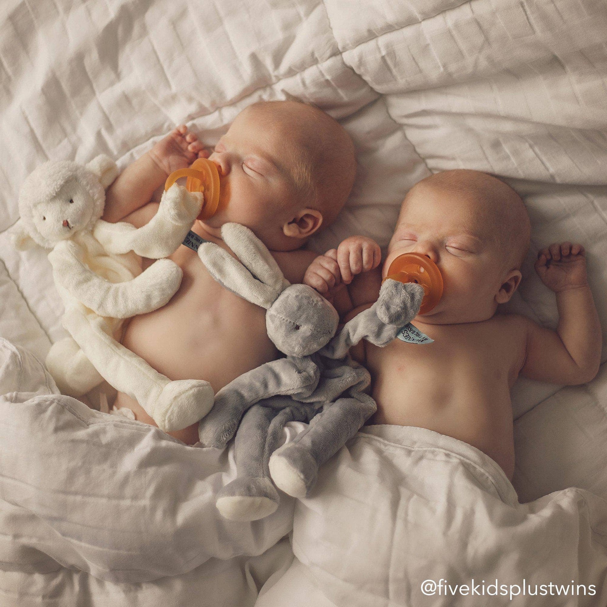 Bloom Bunny Silly Buddy