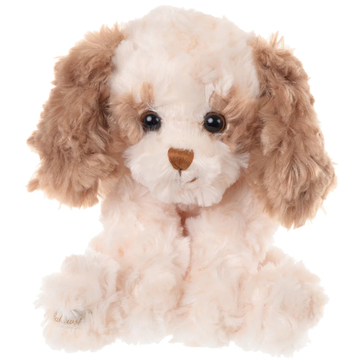 Slide image