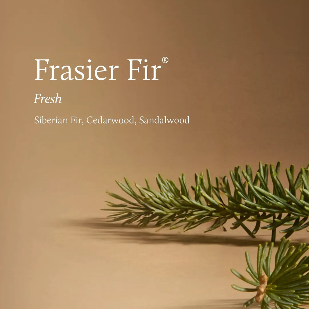 A clean product graphic for Frasier Fir Fresh, showing white text on a warm tan background with green pine branches across the lower right. The text reads 'Frasier Fir', 'Fresh', and 'Siberian Fir, Cedarwood, Sandalwood'.
