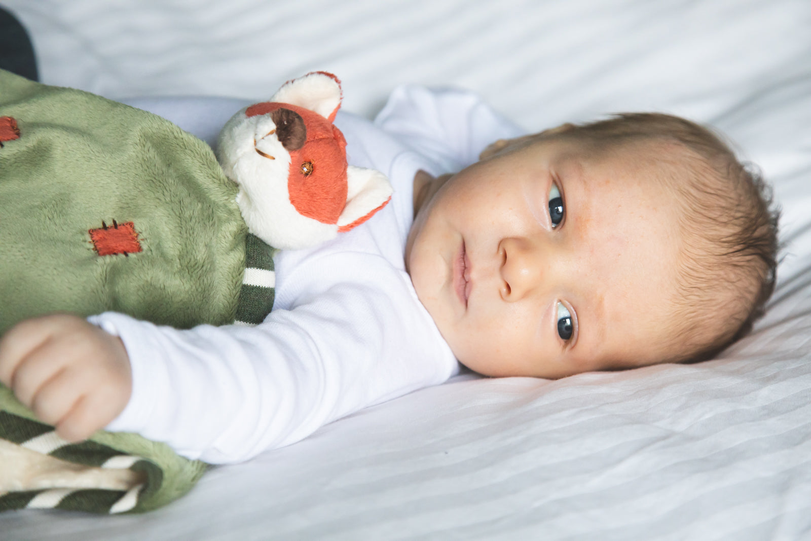 Foxy Blankie w/Gift Box