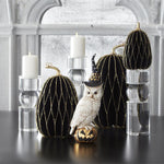 Decorative pumpkins with owl and candles on a table in a room with large windows.