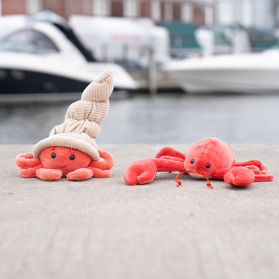 Hermit The Crab