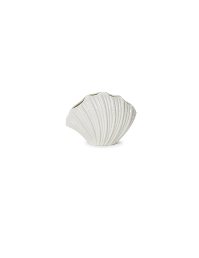 Shell Vase