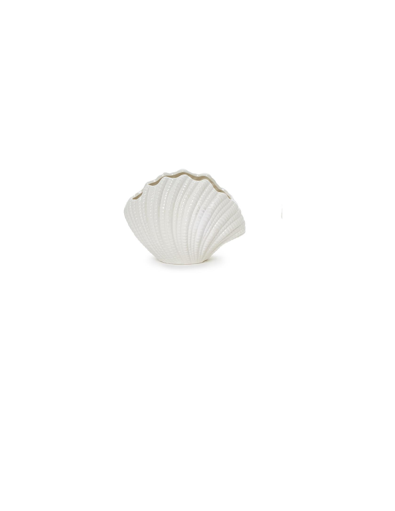 Shell Vase
