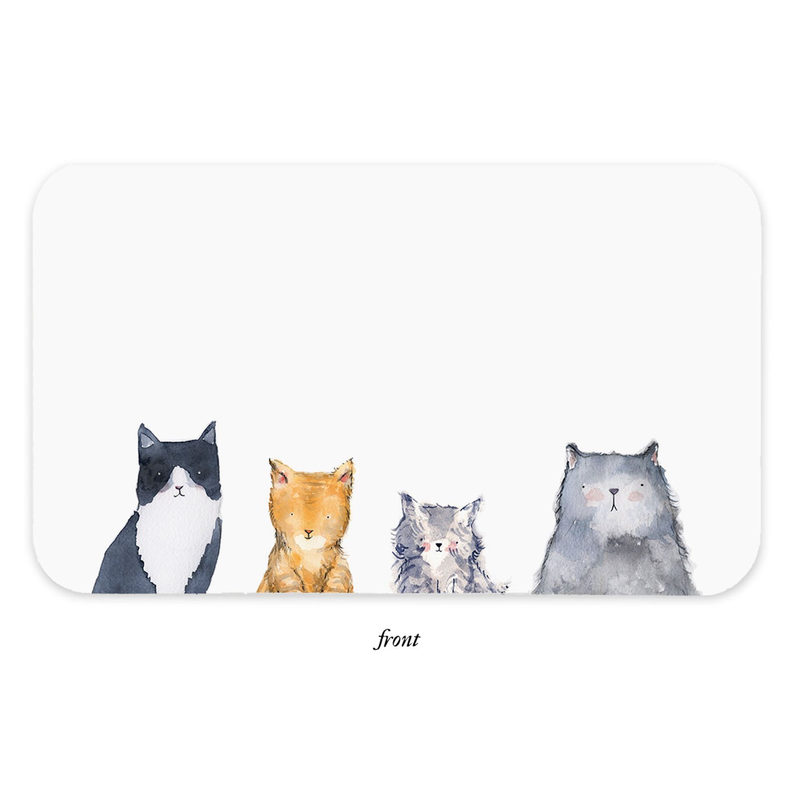 Cat Little Notes
