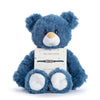 Big Brother Navy Bear