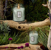 Conjure calm with French Cade Lavender Candle by Voluspa