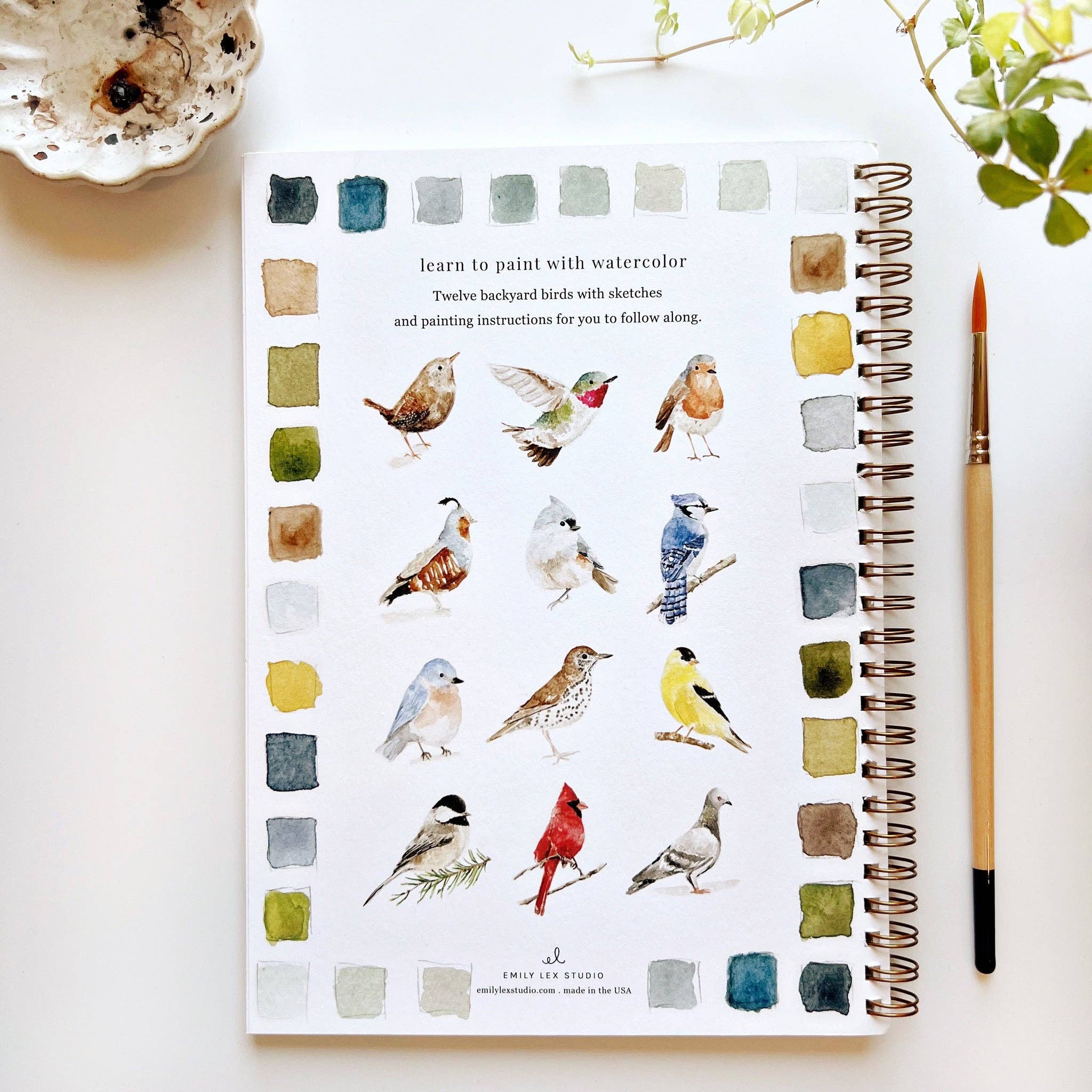 Watercolor workbook-Birds