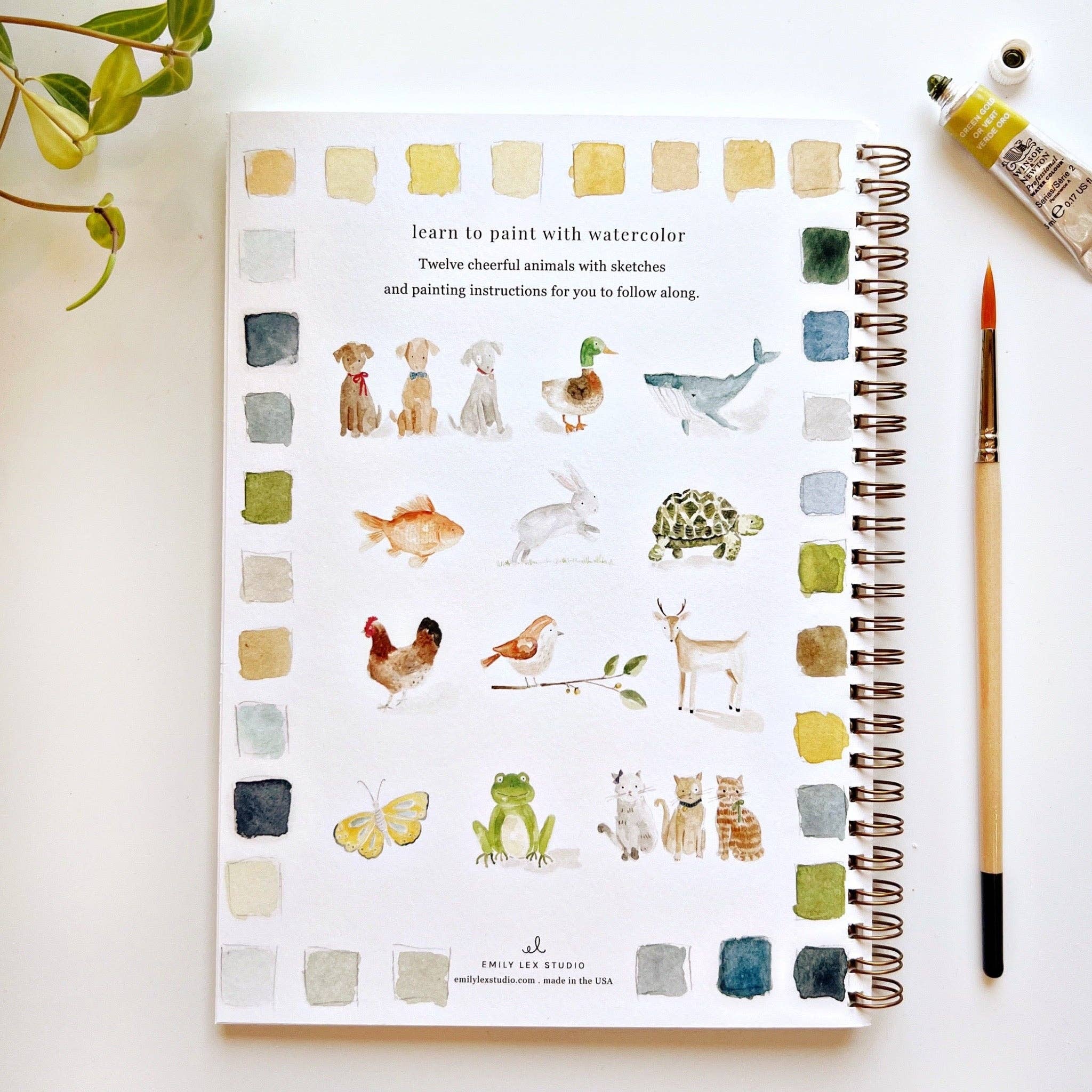Watercolor workbook- Animals