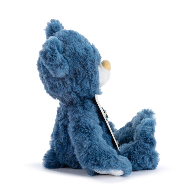 Big Brother Navy Bear