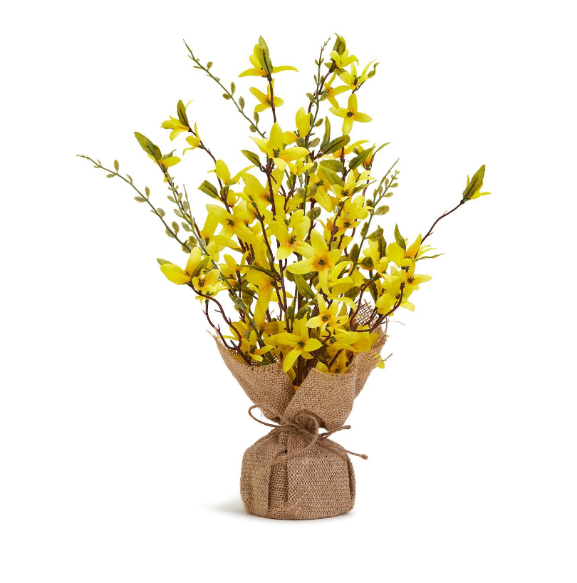 Faux Forsythia