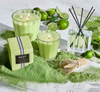 Lime Zest & Matcha Candle